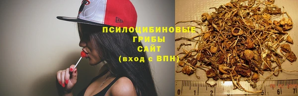 а пвп мука Верхний Тагил
