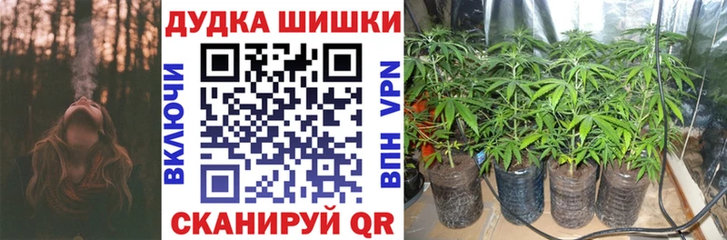 даркнет сайт Любань Бошки марихуана White Widow